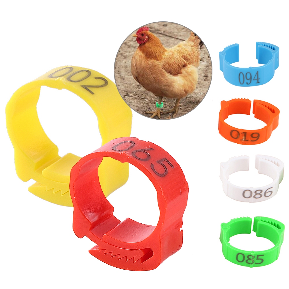 10Pcs Chicken Foot Ring Adjustable Size Poultry Leg Digital Label Buckle Ring 6 Colors Plastic Chick Duck Goose Farm Equipment