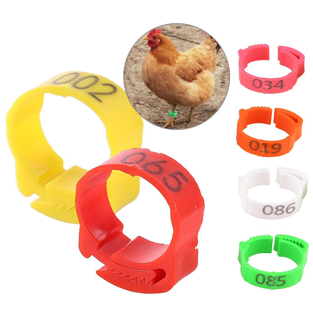 10Pcs Chicken Foot Ring Adjustable Size Poultry Leg Digital Label Buckle Ring 6 Colors Plastic Chick Duck Goose Farm Equipment