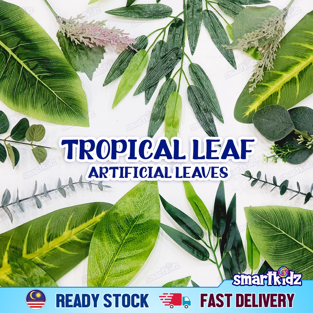 [1 Pcs] Tropical Leaf | Daun Tropika | Eucalyptus Mango Keladi Monstera Palm Fern | Leaves for Decors - smartkidz