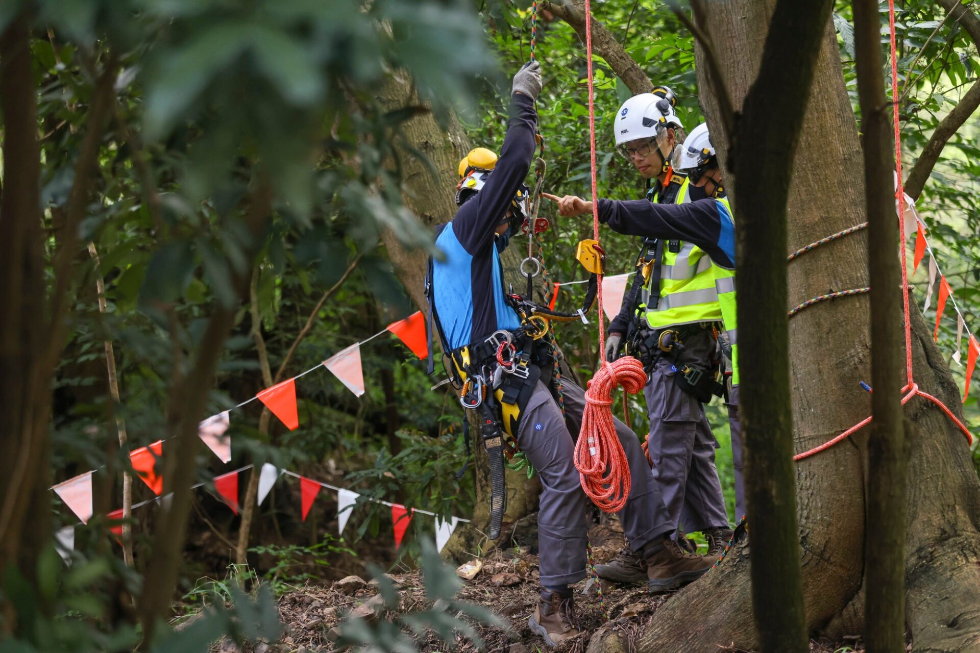 A CLP Power worker prepares to prune a tree near overhead cables using the company’s new monitoring system. Photo: Jonathan Wong