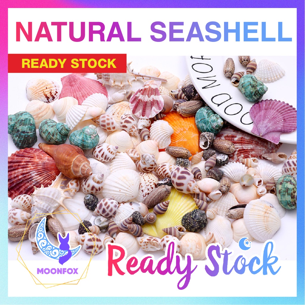 25pcs/set 5mm-25mm Random Small Natural Sea Shell Mixed Colorful Seashells for Candle Making, Home Decor, Party etc