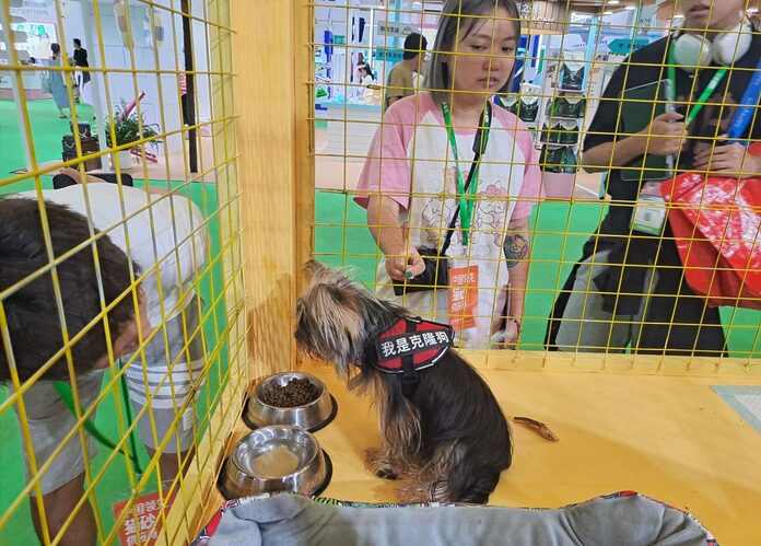 Ballgowns, surveillance and cloning for sale at China pet fair