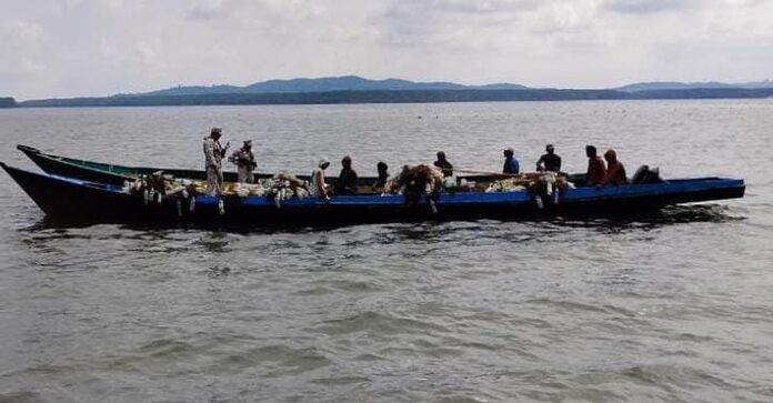 Eight illegals detained while harvesting seaweed off Pulau Sebatik