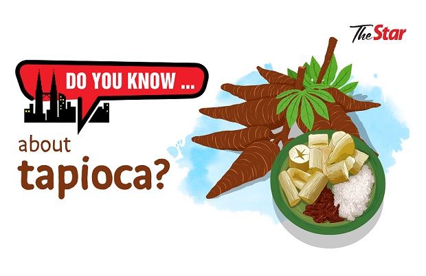 Do you know...about tapioca?