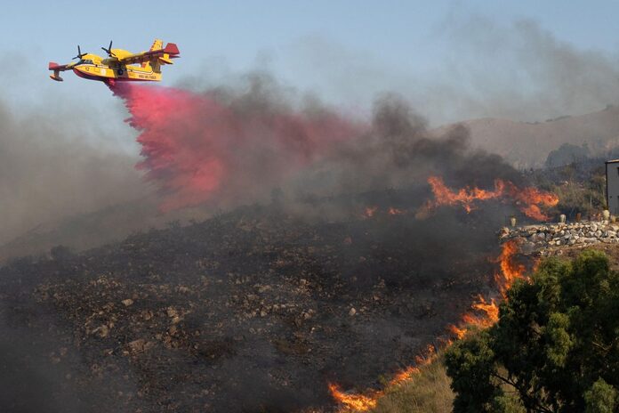 Drones, AI and goats: The new playbook to curb wildfires