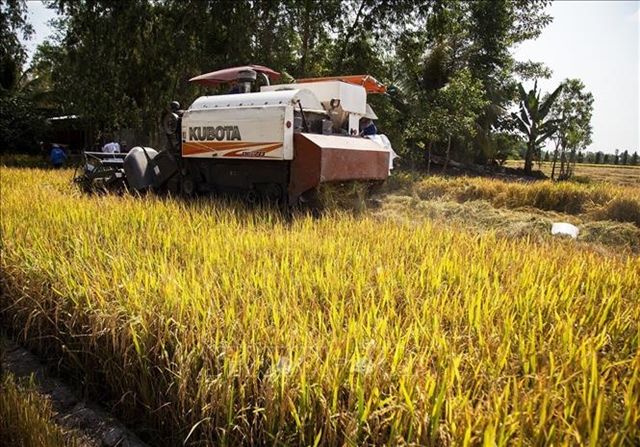 Invent more efficient padi-harvesting machines, Mardi told