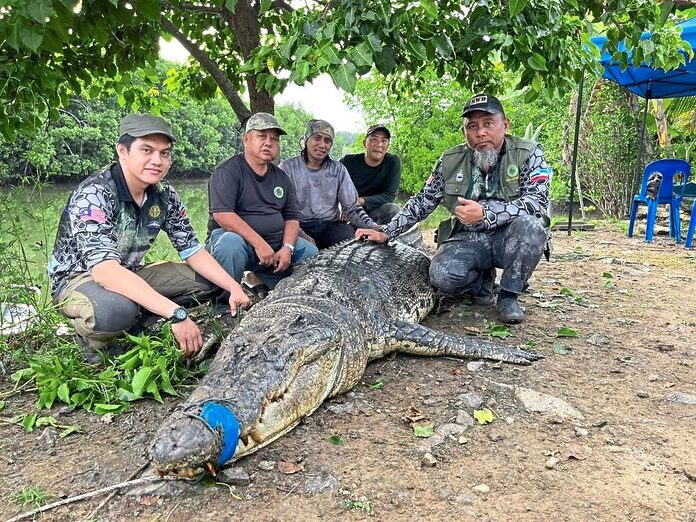 Hunting a man-eating croc