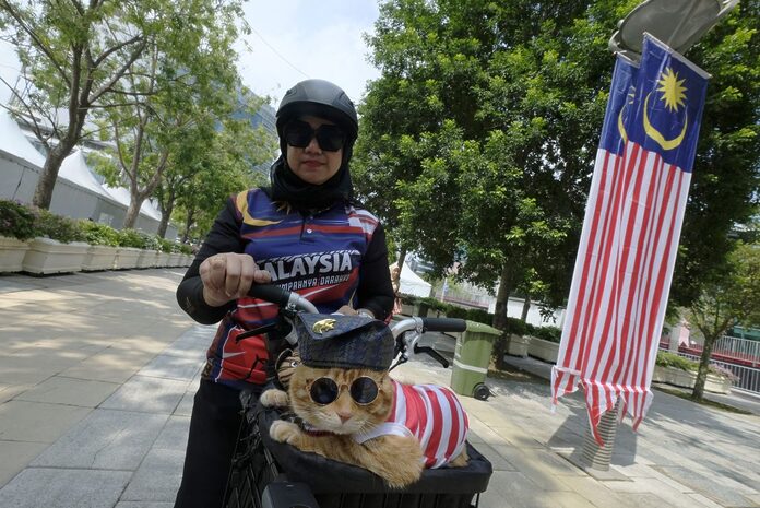 King Oyen's appearance at National Day parade rehearsal enlivens mood