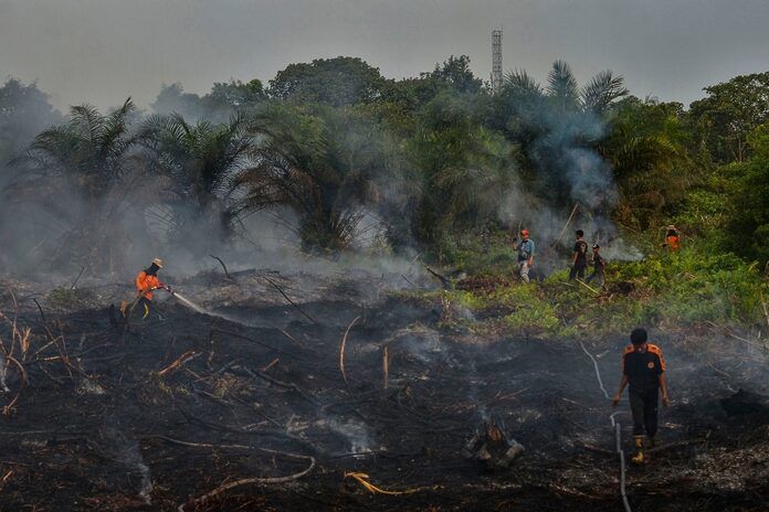 Malaysian companies in Indonesia issued letters on open burning prevention measures