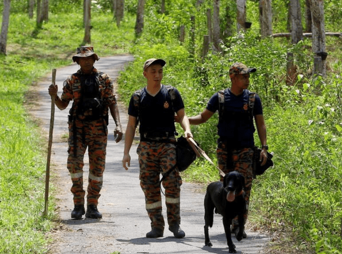 Missing tourist: Search area expanded beyond Perak borders, says the police