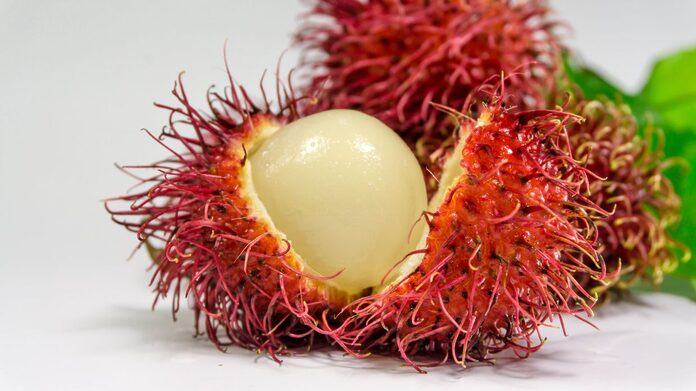 Nine-year old girl chokes to death on rambutan