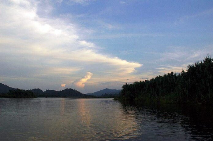 Teacher dismissed for being absent 1,535 days due to water phobia gets back his post