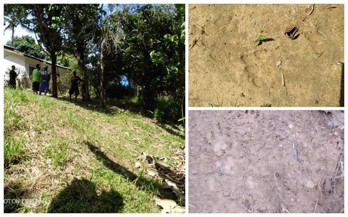 Pos Bihai Orang Asli discover tiger footprints near homes