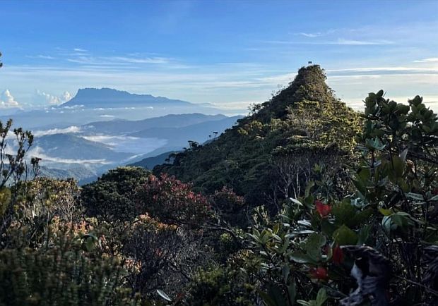 Sabah Forestry Dept confirms Mount Sinsing as third tallest in Malaysia