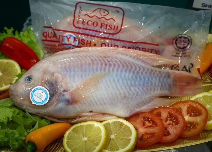 Sarawak tilapia back on Singapore shelves again