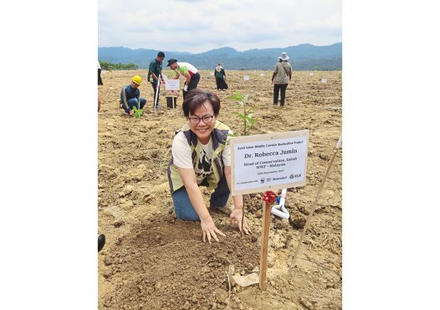 Wildlife corridor being set up