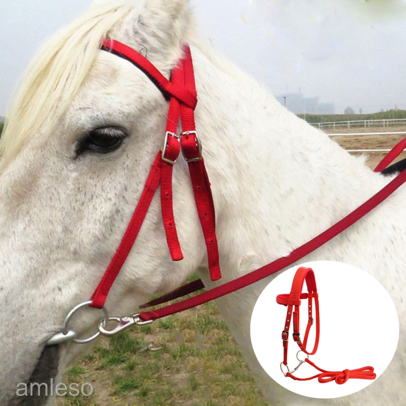 [amlesoMY] Soft Nylon Horse Bridle Harness Headstall Removable Snaffle Thickened Halter