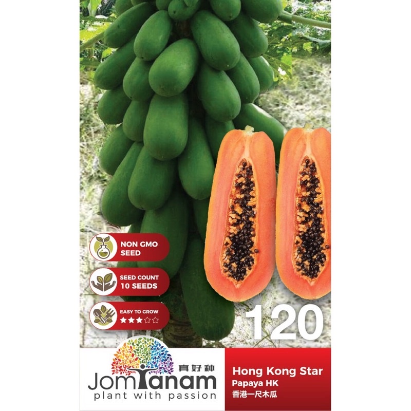 BIG SALES Papaya HK Hong Kong Star (10sds) 香港一尺木瓜 Jom Tanam by Crop Power JT120