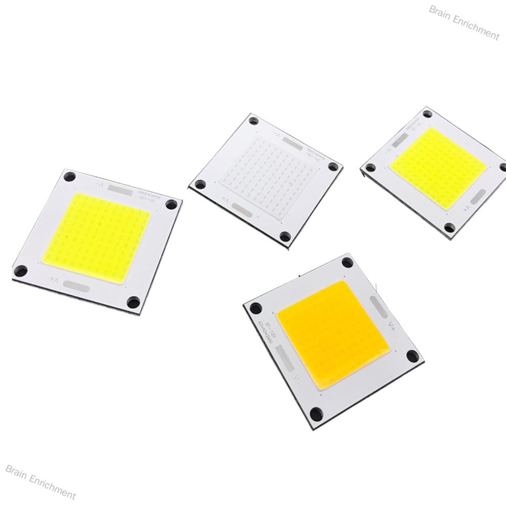 Brain Enrichment 50W 40X40mm LED Light Chip COB Integrated LED Lamp Beads DIY Floodlight Spotlight Bulb