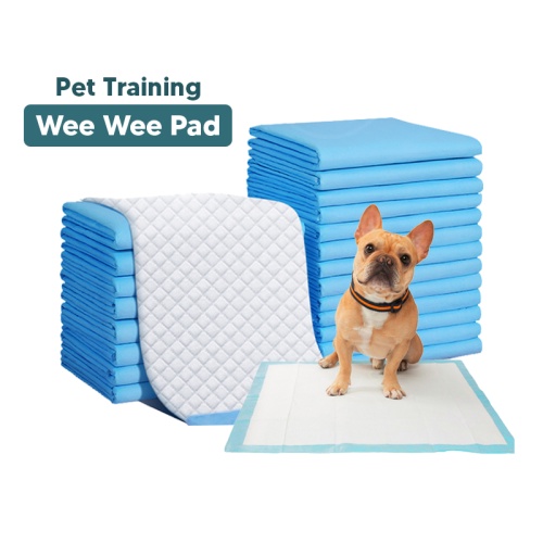 Cat Diaper Pad Pee Pad Dog Pampers Pet Diapers Wee Pad Dog Pee Pad Weewee Pad Urine Pad Lampin Kucing