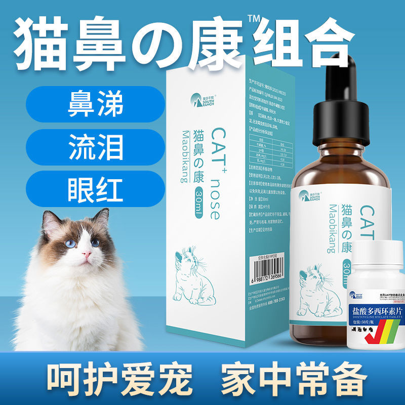 Cat Rhinitis: Always prepare health care products for ca Cat Nasal Branch Cat Sick Standing Cat Sneezing Heating Asthma Snot Coughing Tears Standing health products 3.31 *