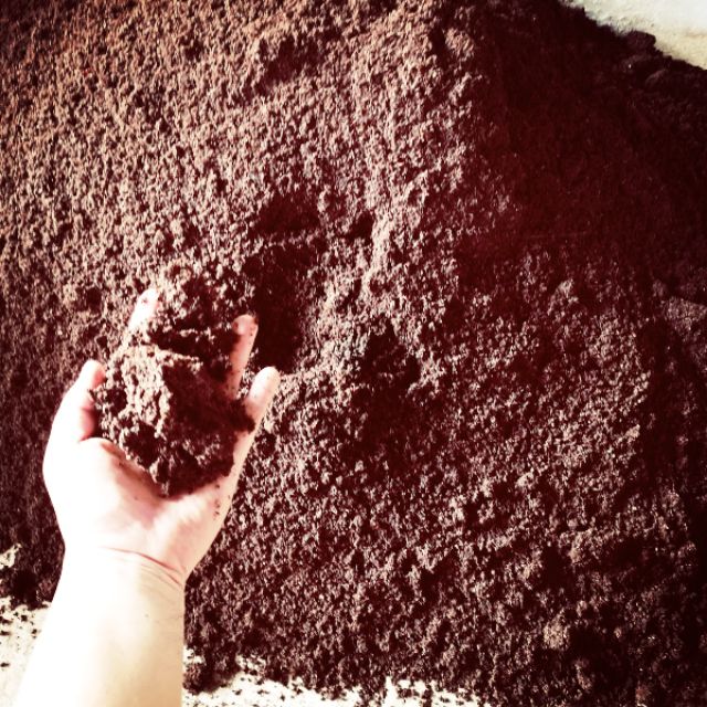 Compost organik tahi lembu/Cow manure organic compost /Cow dung compost 牛粪有机堆肥