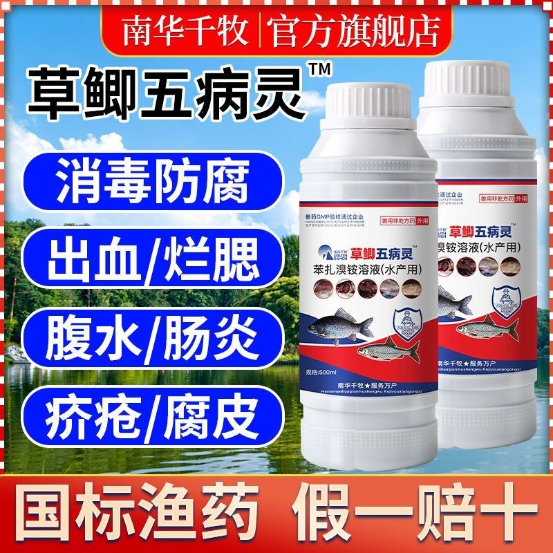 Crucian Carp Five Disease Spirit Aquatic Products Use Benzha Ammonium Solution Disinfection Prevent Blood Bleeding Rotten Gills Belly Water Intestinal Inflammation Scabies Corruption Skin