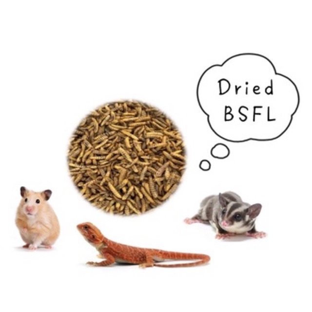 Dried Black Soldier Fly(BSF) Larvae|Mealworm Alternative|SUGAR GLIDER,HAMSTER,FISH|黑水虻虫干|Phoenix Worm 凤凰虫干|Maggot BSF