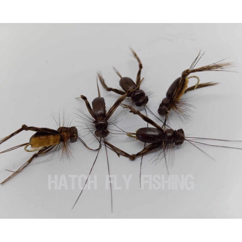 Fly lures ~ Foam back Cricket Fly (Floating)