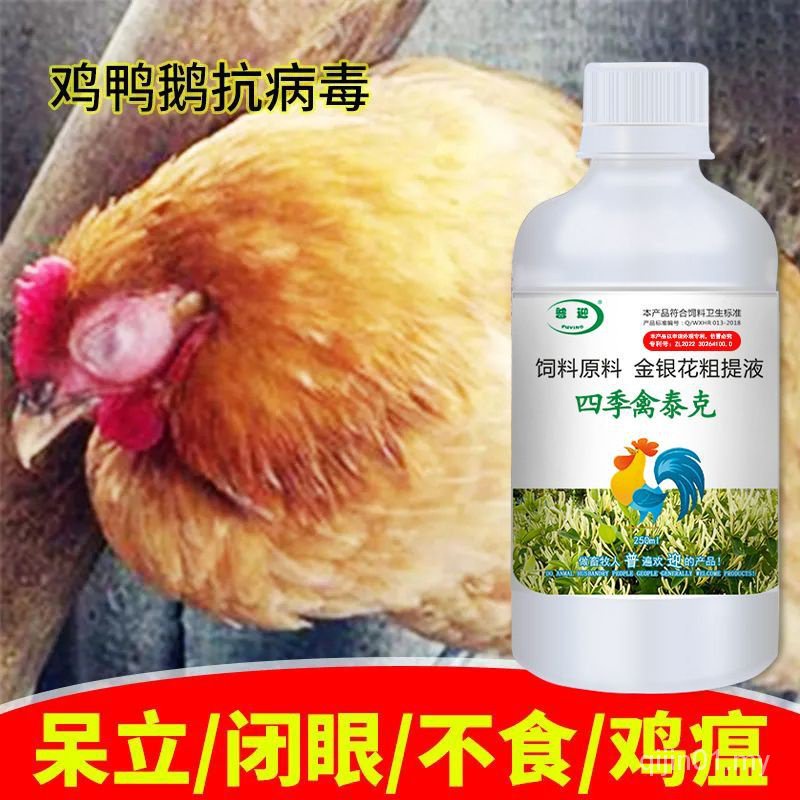 热门推荐Four Seasons Birds Tek Chicken Ducks Goose Pigeons For Poultry Colds Anti-Virus Flu Chicken Plague Chicken Disease Snoring Chicken Medicine Daquan