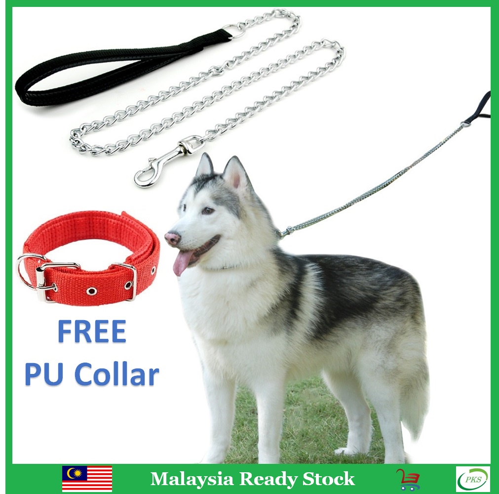 Heavy Duty Animal Chain Dog Leash Anti Chew Metal Basic with PU Dog Collar