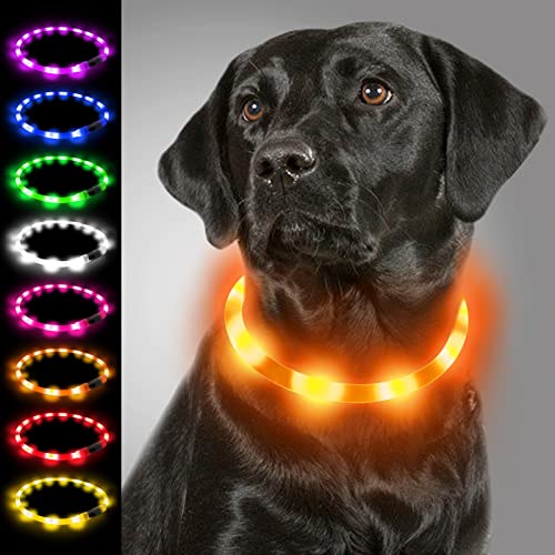 Joytale LED Dog Collar,USB Rechargeable Light Up Dog Collars for Night Safety,Glowing in The Dark Collar for Small Medium Large Dogs, Orange