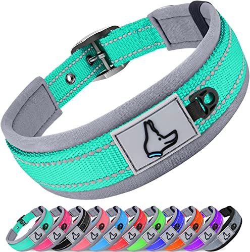 Joytale Neoprene Padded Dog Collar for Large Dogs, 11 Colors, Reflective Wide Pet Collars with Durable Metal Belt Buckle, Adjustable Heavy Duty Nylon Dog Collar, Teal