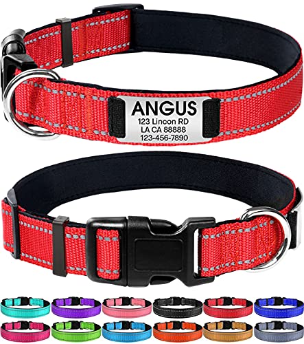 Joytale Personalized Dog Collars, Reflective Nylon Dog Collar with Engraved Name Plate, Customized for Large Dogs, Red, L