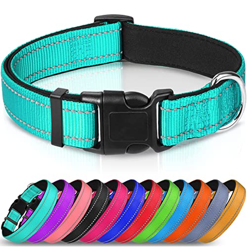 Joytale Reflective Dog Collar,Soft Neoprene Padded Breathable Nylon Pet Collar Adjustable for Medium Dogs,Teal,M