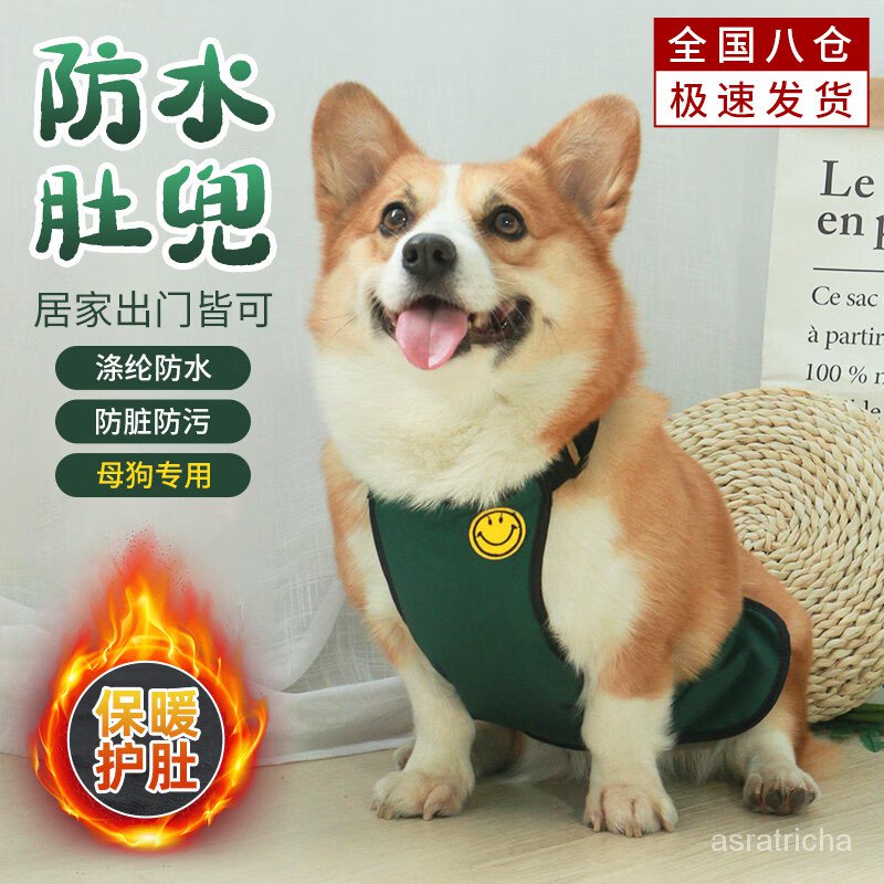 KY/Qibeiman Dog Apron Corgi Waterproof Medium-Sized Dog Pet Female Canine Raincoat Warm Belly Protection Anti-Dirty Aut