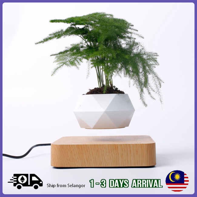 [Local shipped] Levitating Plant Pot Floating Plant Pot Unique Office Desk Plant Magic Planter For Home Office Desk