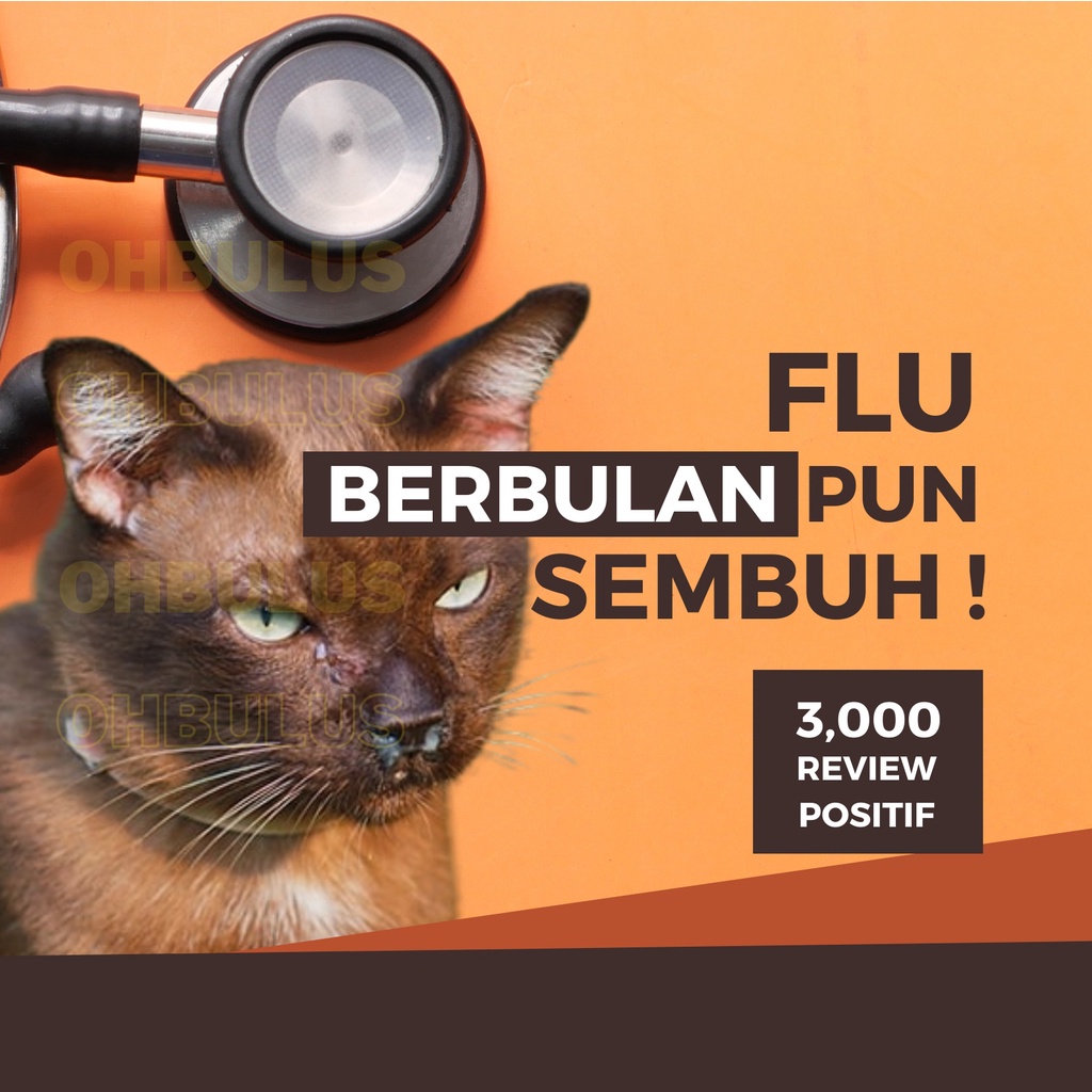 LONG FLU Cat Sakit Mata Ulser Kucing Selsema Batuk Berkahak Herbal Remedy