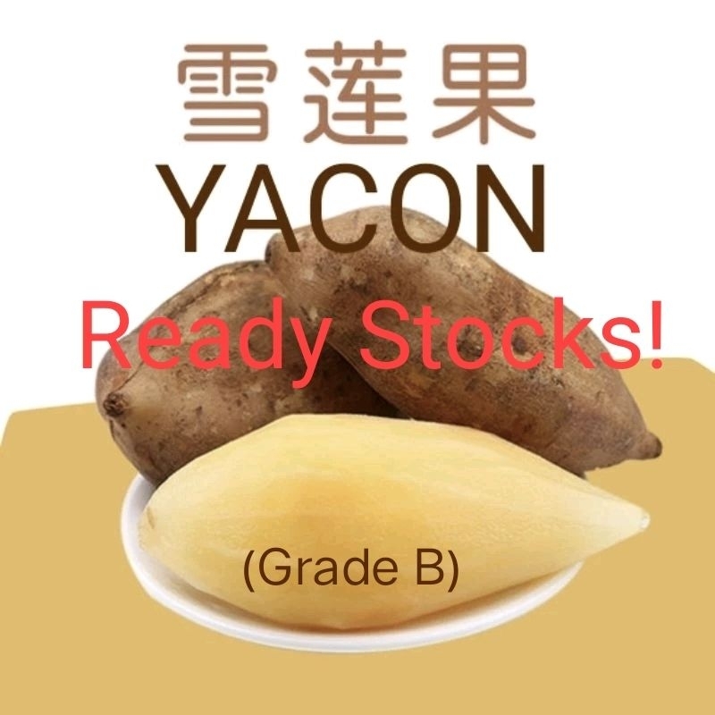 Organic (grade B) (Natural Health)Yacon Produce Cameron Highlands( Grade B )