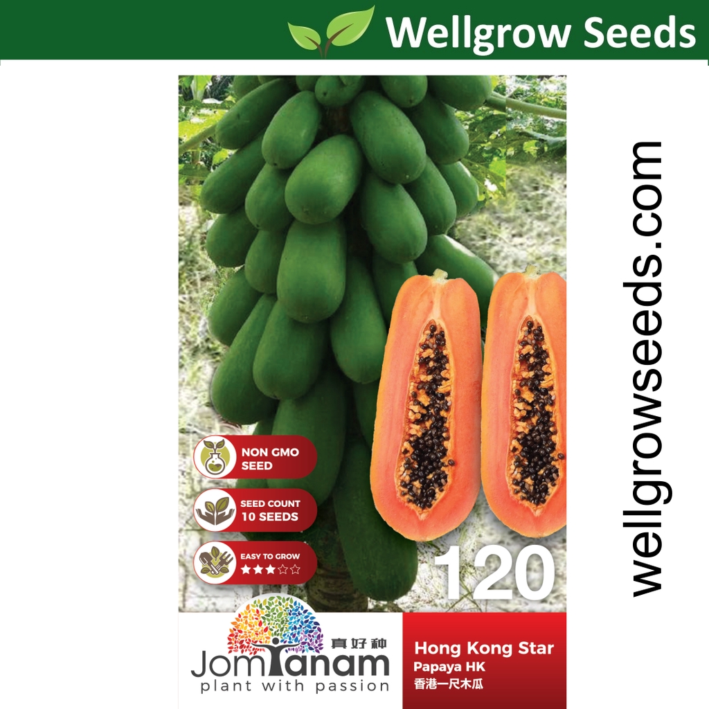 Papaya HK Hong Kong Star (10 seeds) 香港一尺木瓜 Jom Tanam by Crop Power JT120 Biji Benih