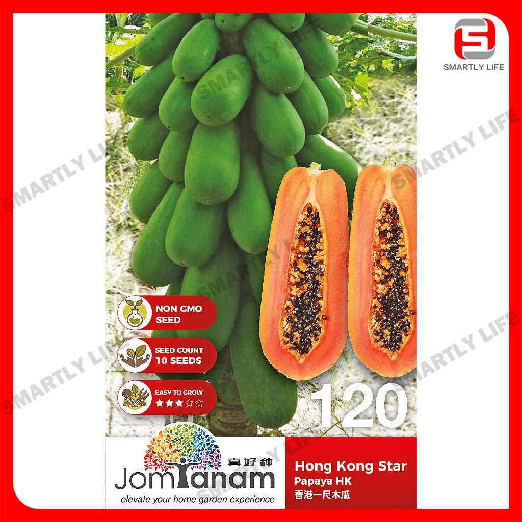 Papaya HK Hong Kong Star Benih Betik 香港一尺木瓜 Jom Tanam Seeds 种子 JT-120