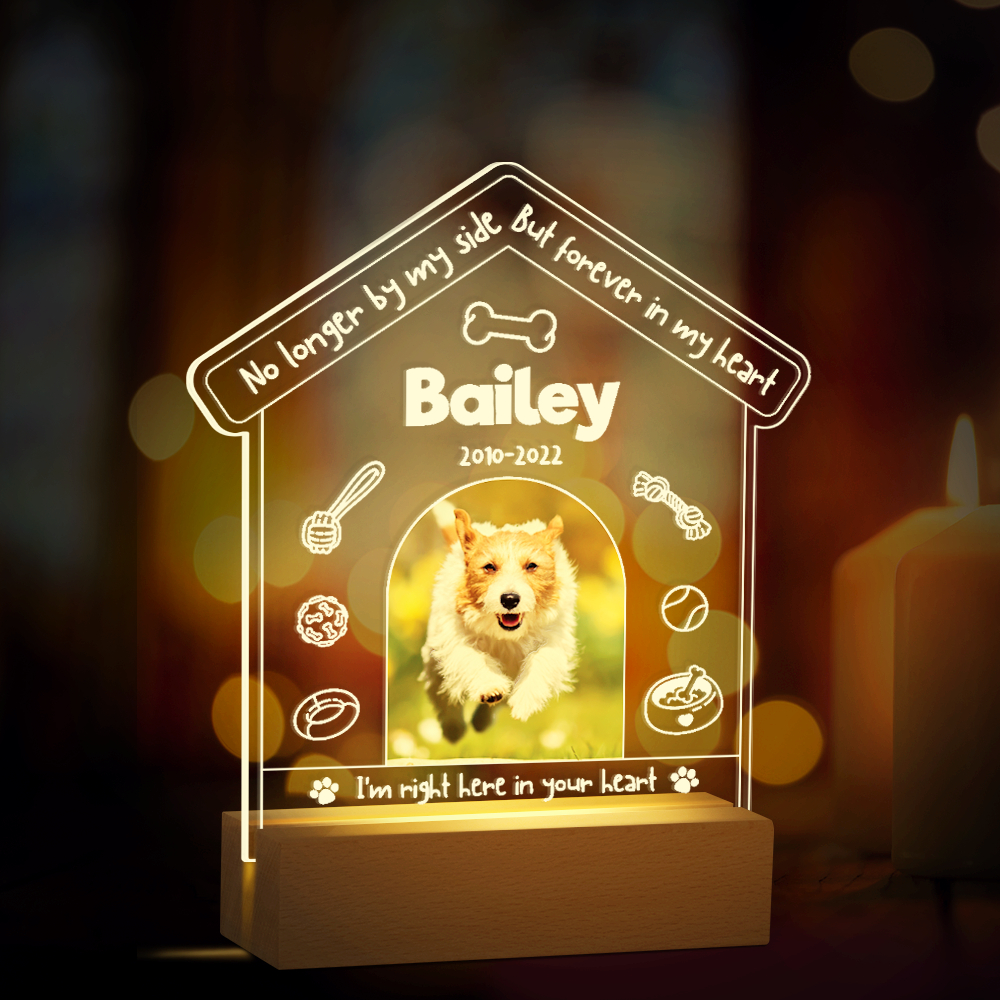 Party to Be Personalized Dog Memorial Gifts for Loss of Dog, Pet Memorial Gifts for Dog Cat, Personalized Night Light Dog Memorial Photo Plaque (D - Dog)