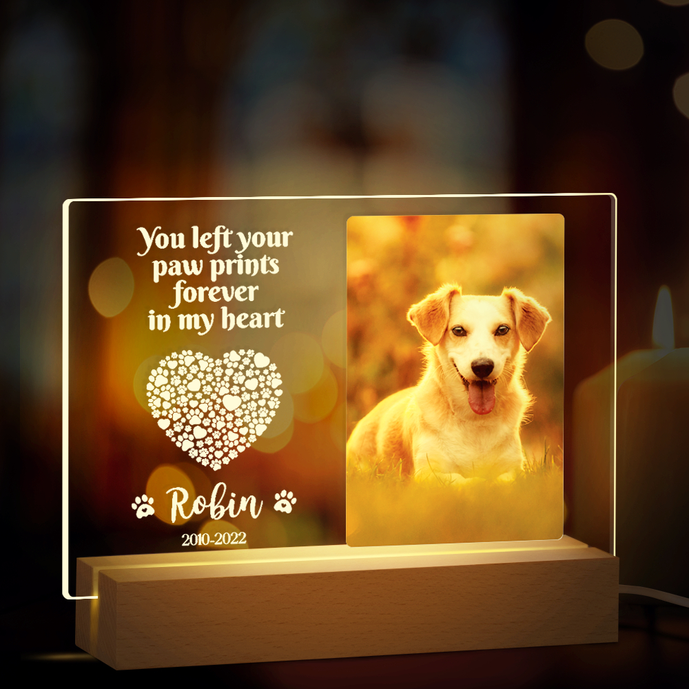 Party to Be Personalized Dog Memorial Gifts for Loss of Dog, Pet Memorial Gifts for Dog Cat, Personalized Night Light Dog Memorial Photo Plaque (A - Dog Cat)