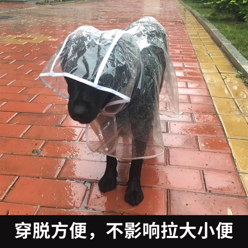 ▼✖Payung Besar Tahan Air Poncho Labrador Retriever Base Dog Pet Dog Canine Raincoat Dog Ke Pakaian Besar Sedang.