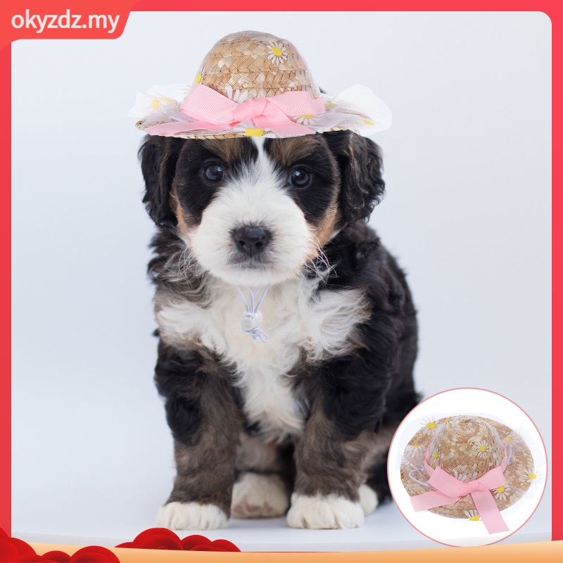 Pet Hat Doll Making Supplies Birthday Cap Poncho Dogs Party Mini Hats Hand Decor Mexico Lace Trim Decorative Puppy Handcrafted Cats Straw Pets Sombreros okyzdz