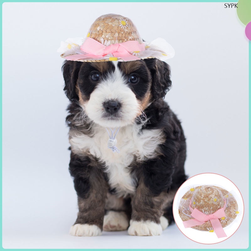 Pet Hat Mexican Doll Mini Sombrero Hats Mexico Costume Dog Straw Cat Pets Dogs Handcrafted Sun Cap Birthday Summer Party shaoyipinke