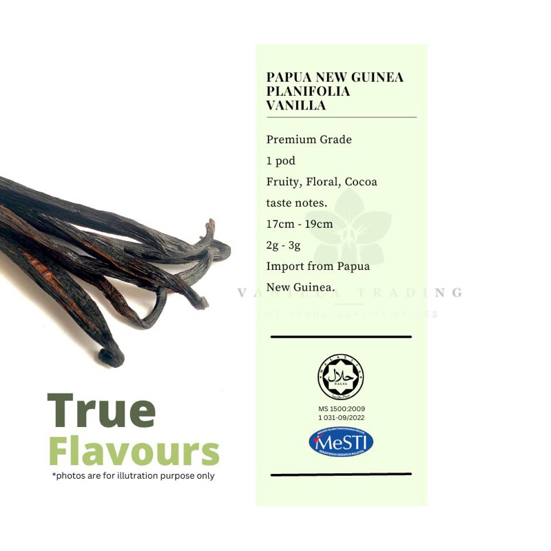 Planifolia Vanilla Beans Vanilla Pod (PNG) - 1 Pod/Tube [Grade A] [Cocoa, Fruity, Flora Flavor]