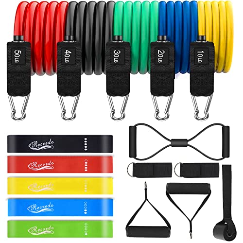 Resistance Bands Set 17pcs, Resistance Band, Exercise Bands Fitness Workout with Wide Handles, Door Anchor, Steel Clasp, Carry Bag, Ankle Straps for Home Gym Outdoor Travel (17PCS-Colour)