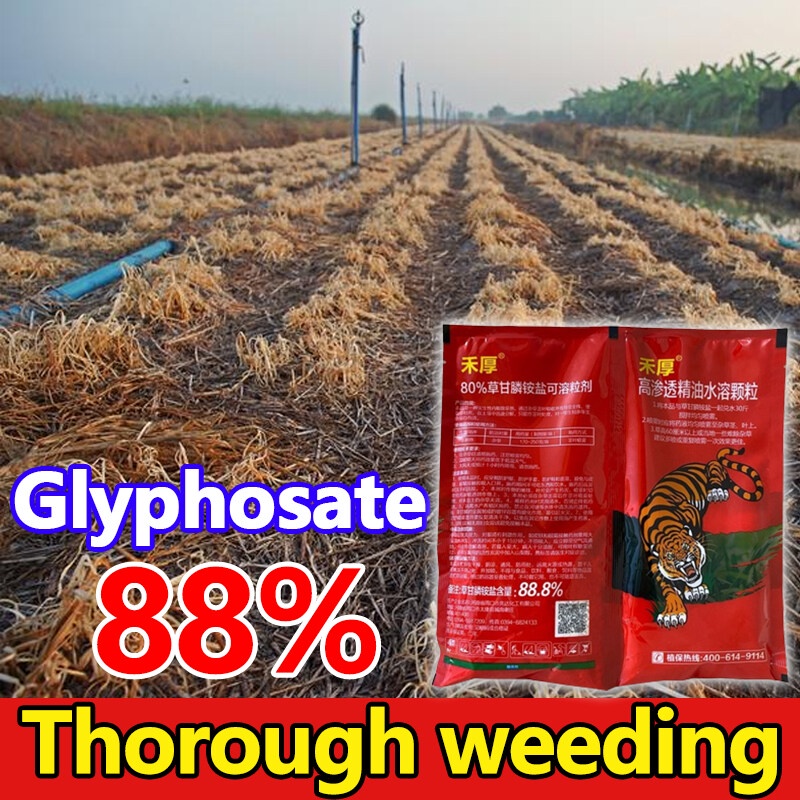 Weeds Gone!!! ! Racun Rumput Paling Kuat Murah Racun Rumput Racun Rumput Sambau Weed Killer Glyphosate 88% 1 Bag Mixed With 15-20 Liters Of Water,Weeds Can Absorb. Causing Root Rot And Death Racun Rumput Cepat Mati Racun Lalang Racun Rumpai 除草剂除草劑