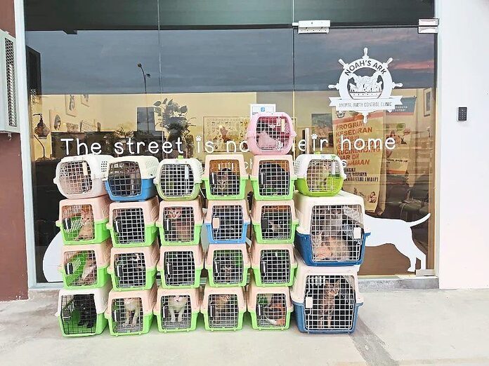 ‘Adopt spayed and neutered animals for free’